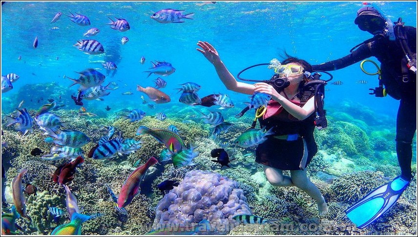 Du lịch Đà Lạt - Nha Trang