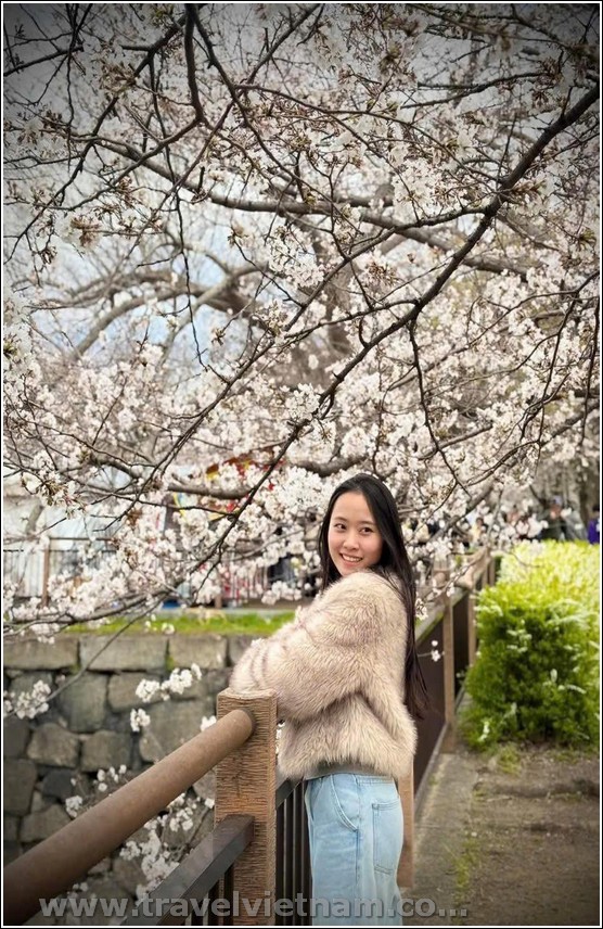 Nhật Bản: Hà Nội - Osaka - Kyoto - Núi Phú Sĩ - Tokyo - Hà Nội