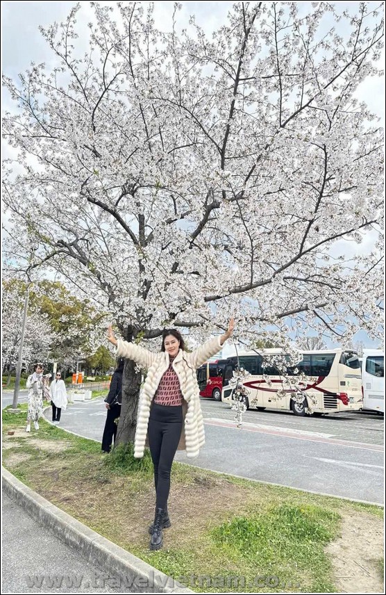 Nhật Bản: Hà Nội - Tokyo – Phú Sĩ – Nagoya – Kyoto – Osaka