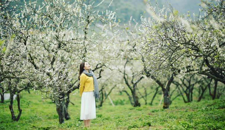 Du lịch Mộc Châu