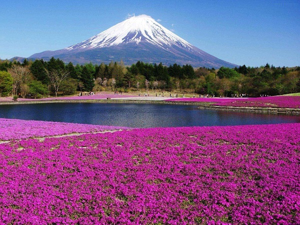 Du lịch nhật bản