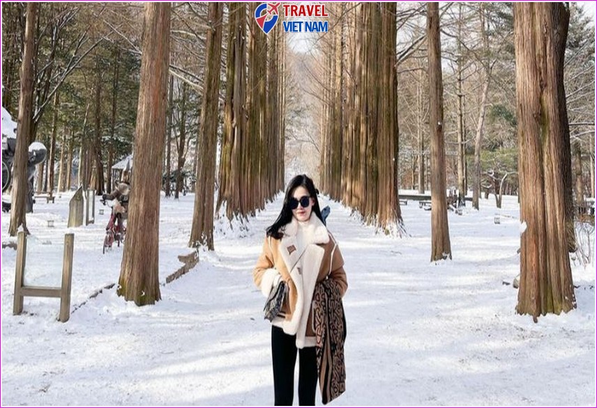 Du lịch Hàn Quốc Mùa Đông 6N5Đ